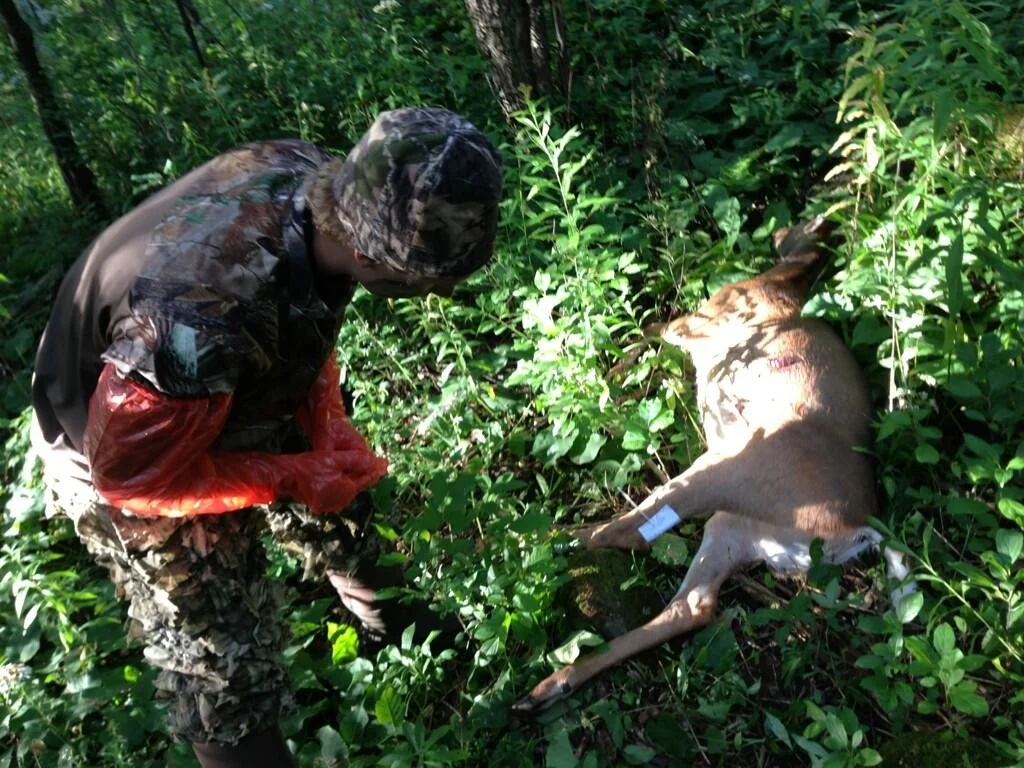 My First Deer Harvest And Its Impact On Me