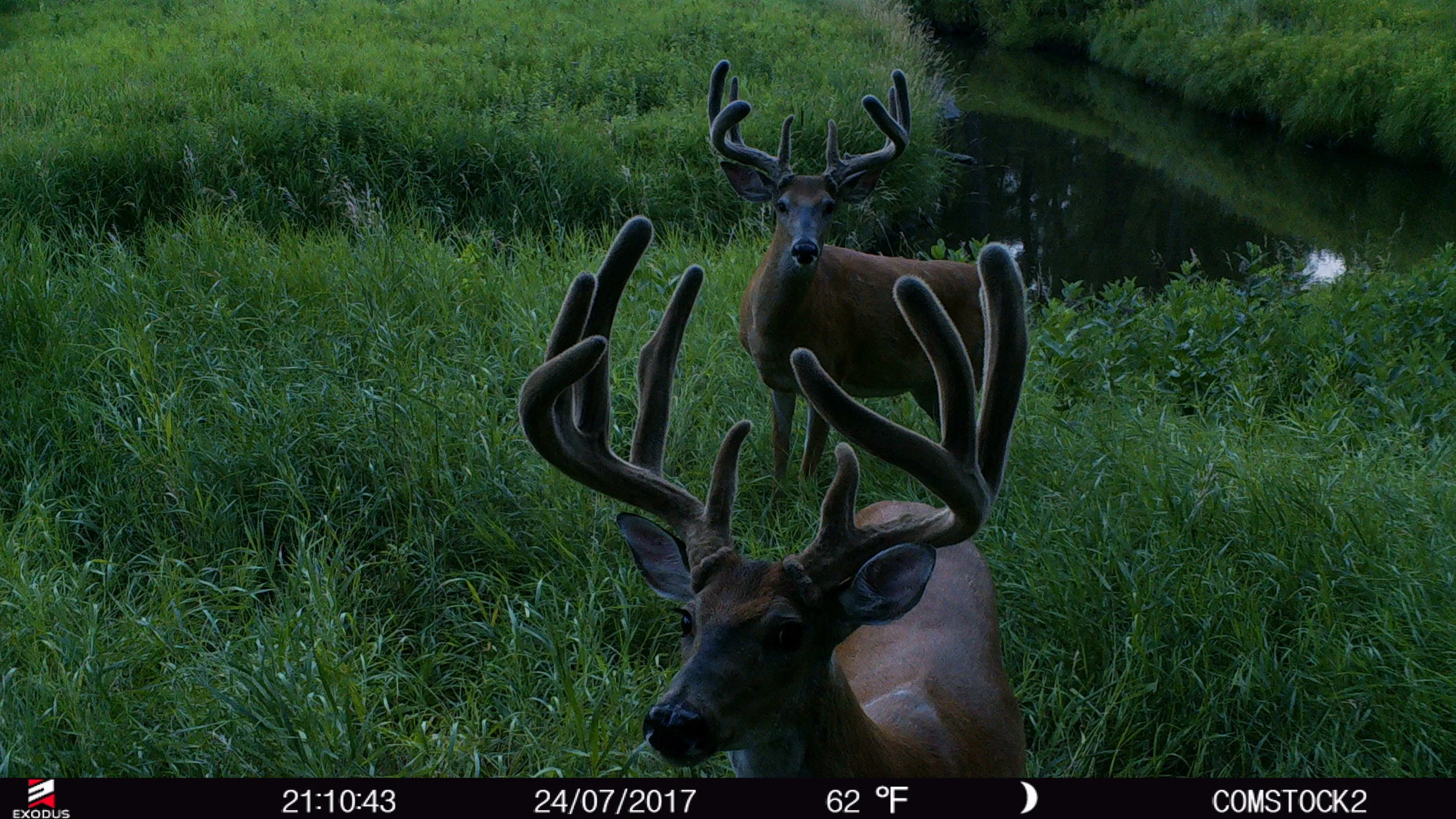 3 Reasons Not To Rely on Summer Scouting 