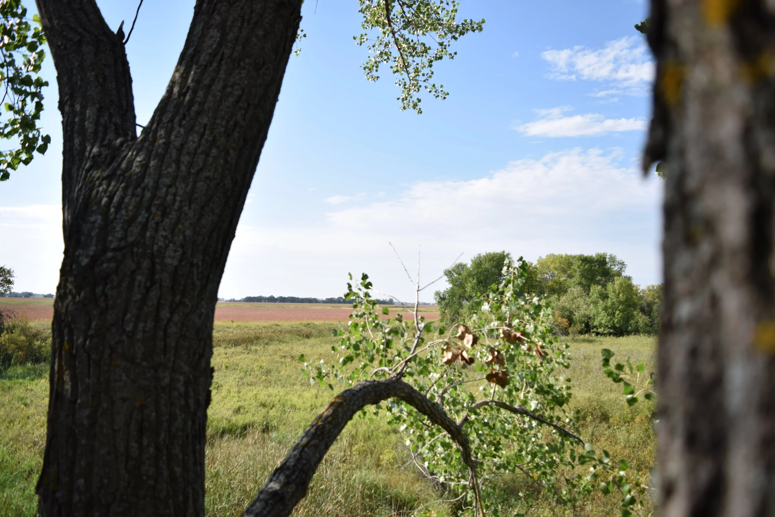 3 Reasons To Get Aggressive Hunting Early Season Mature Bucks