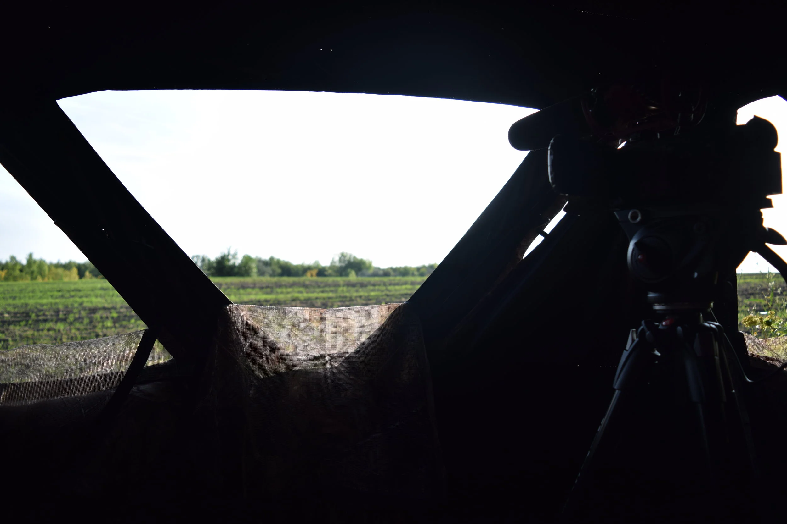 Are Certain Days of The Week Better To Hunt Than Others?