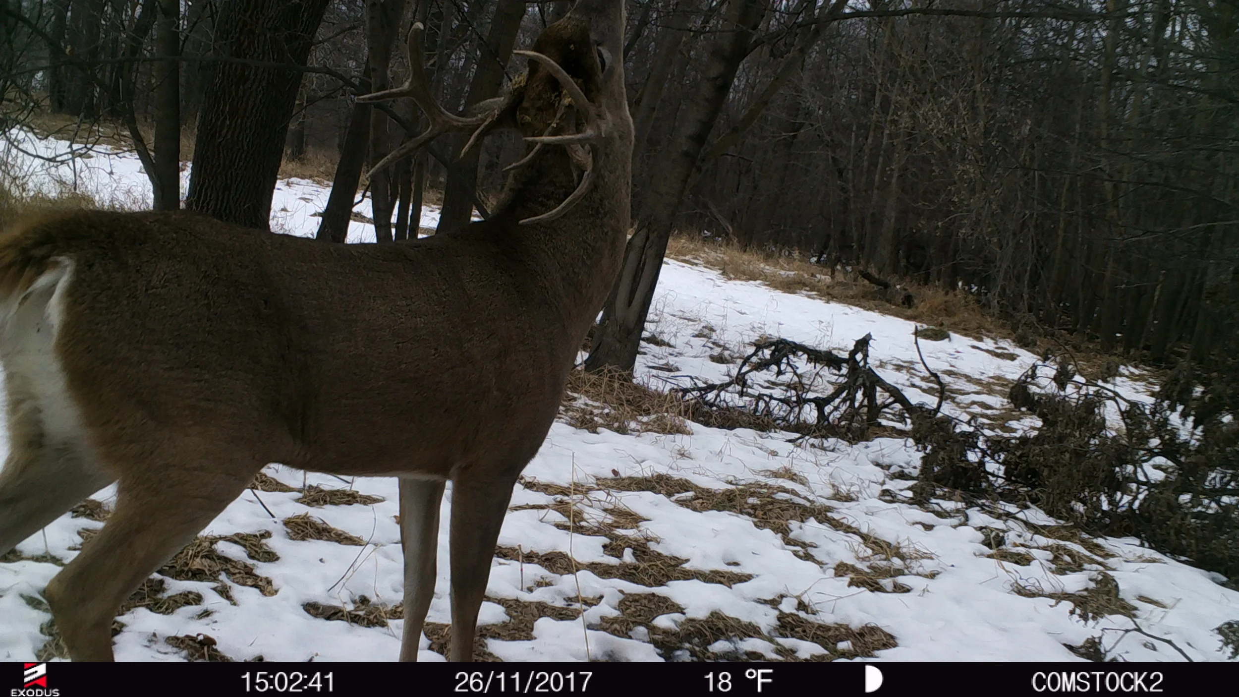 Taking Days off For The Rut - History is on Your Side 