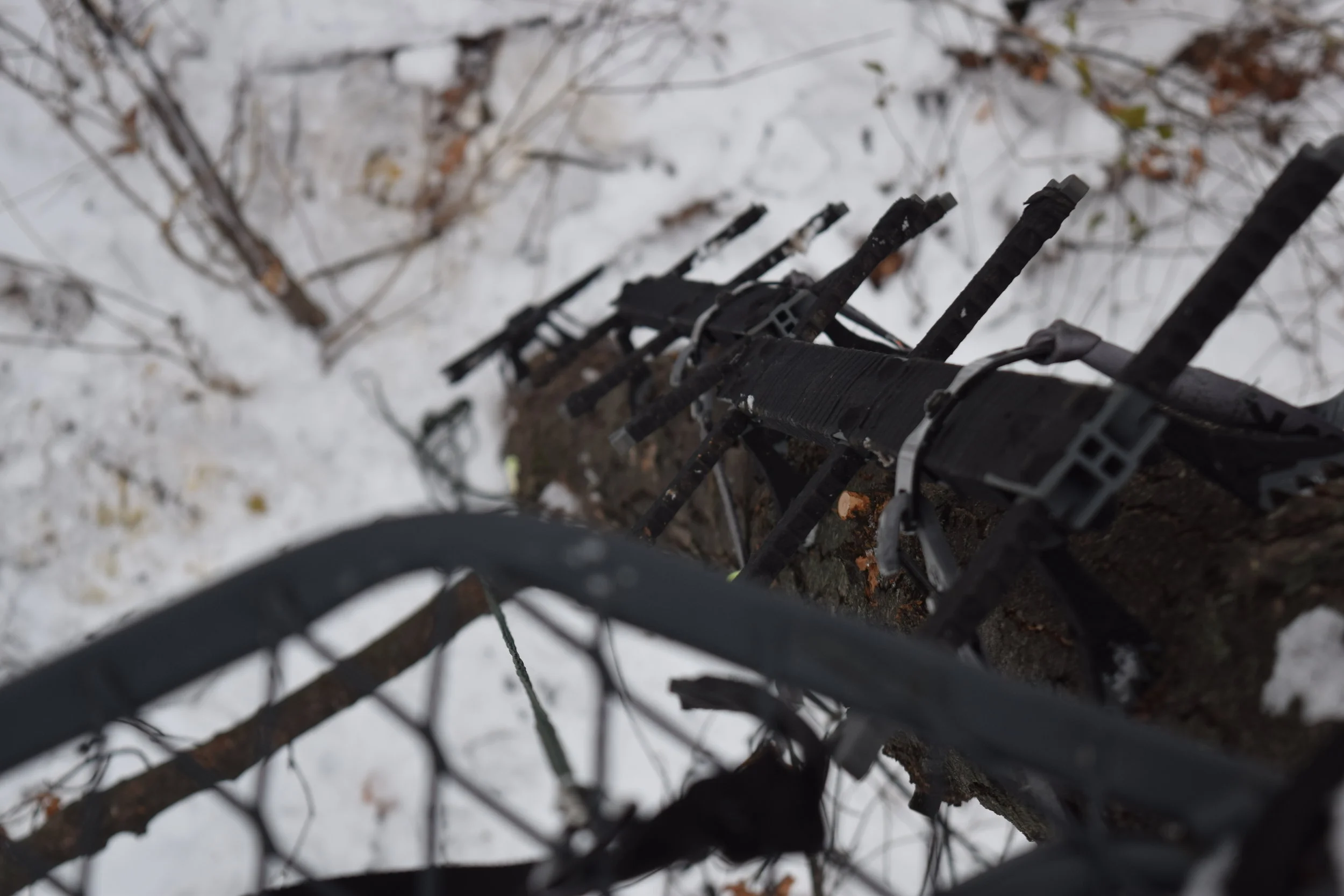 Running and Gunning for Success During The Rut 