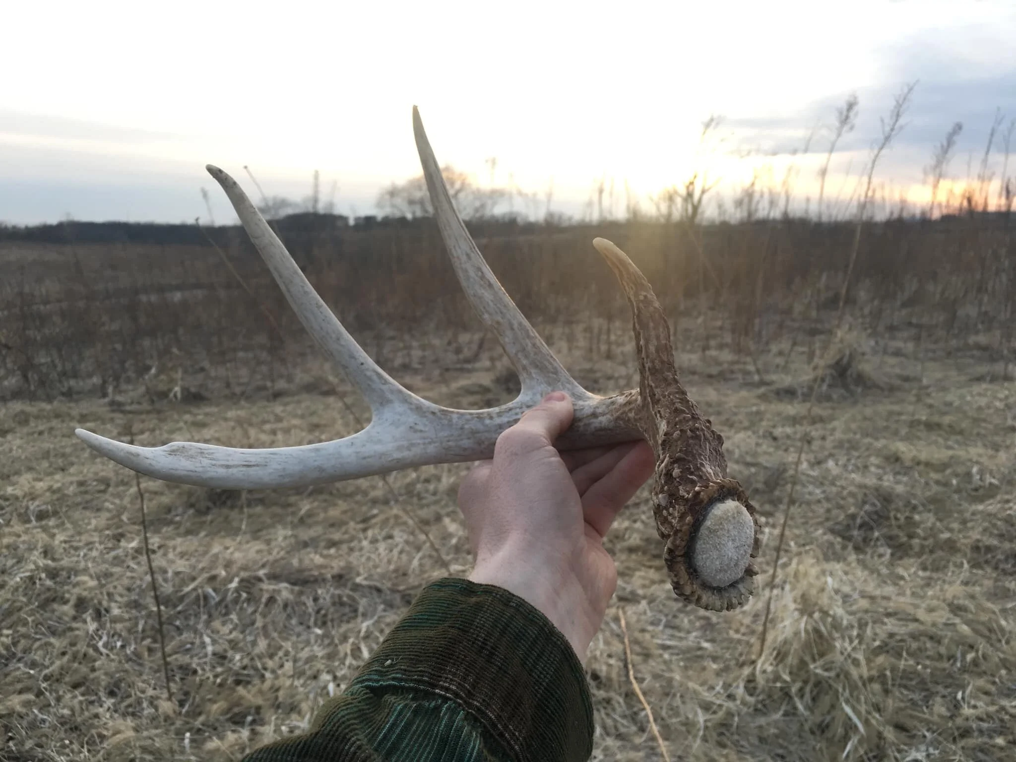 Shed Hunting Advice with Brennen Nading 