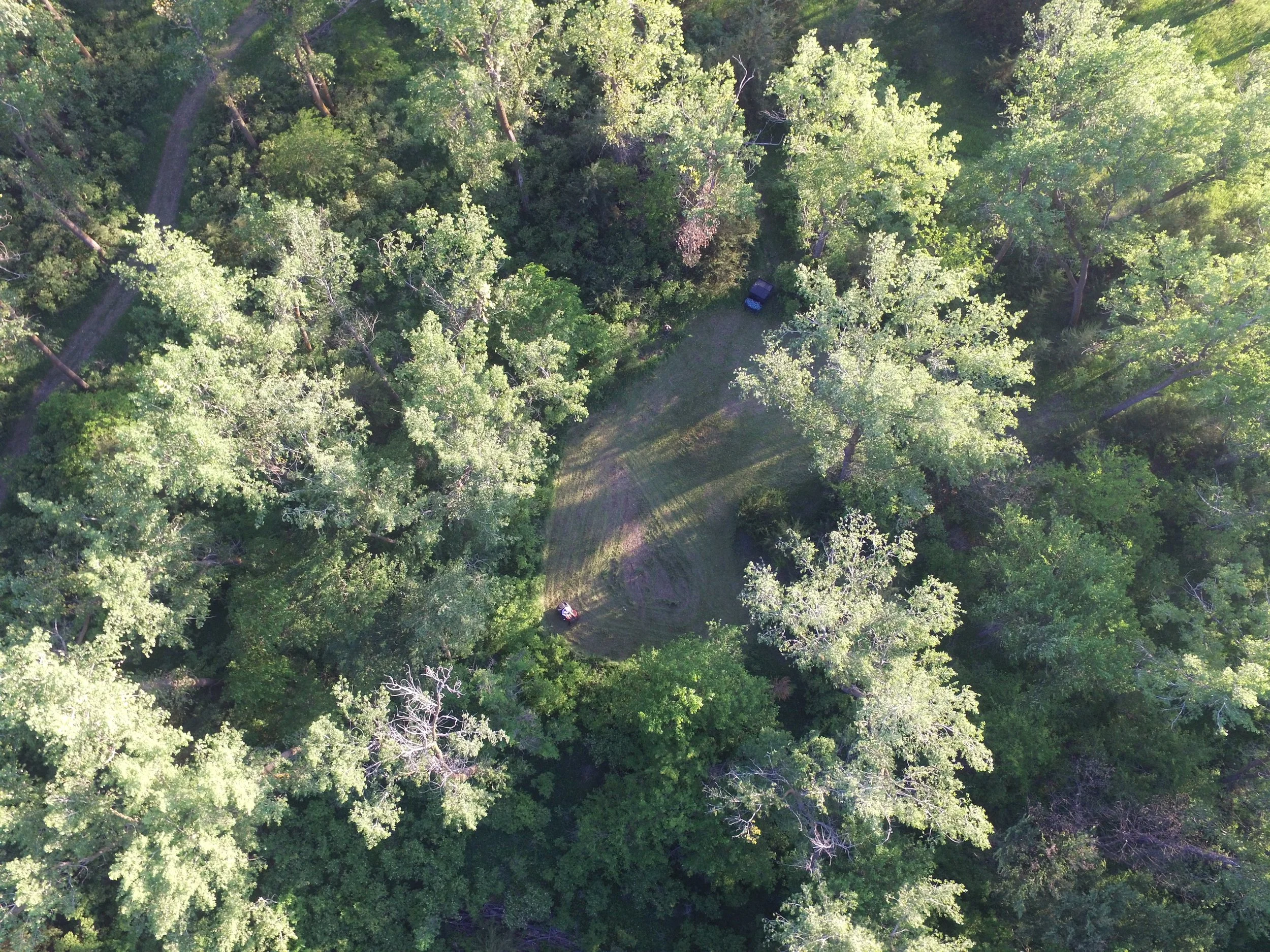 How To Prepare a New Hunting Property in The Summer