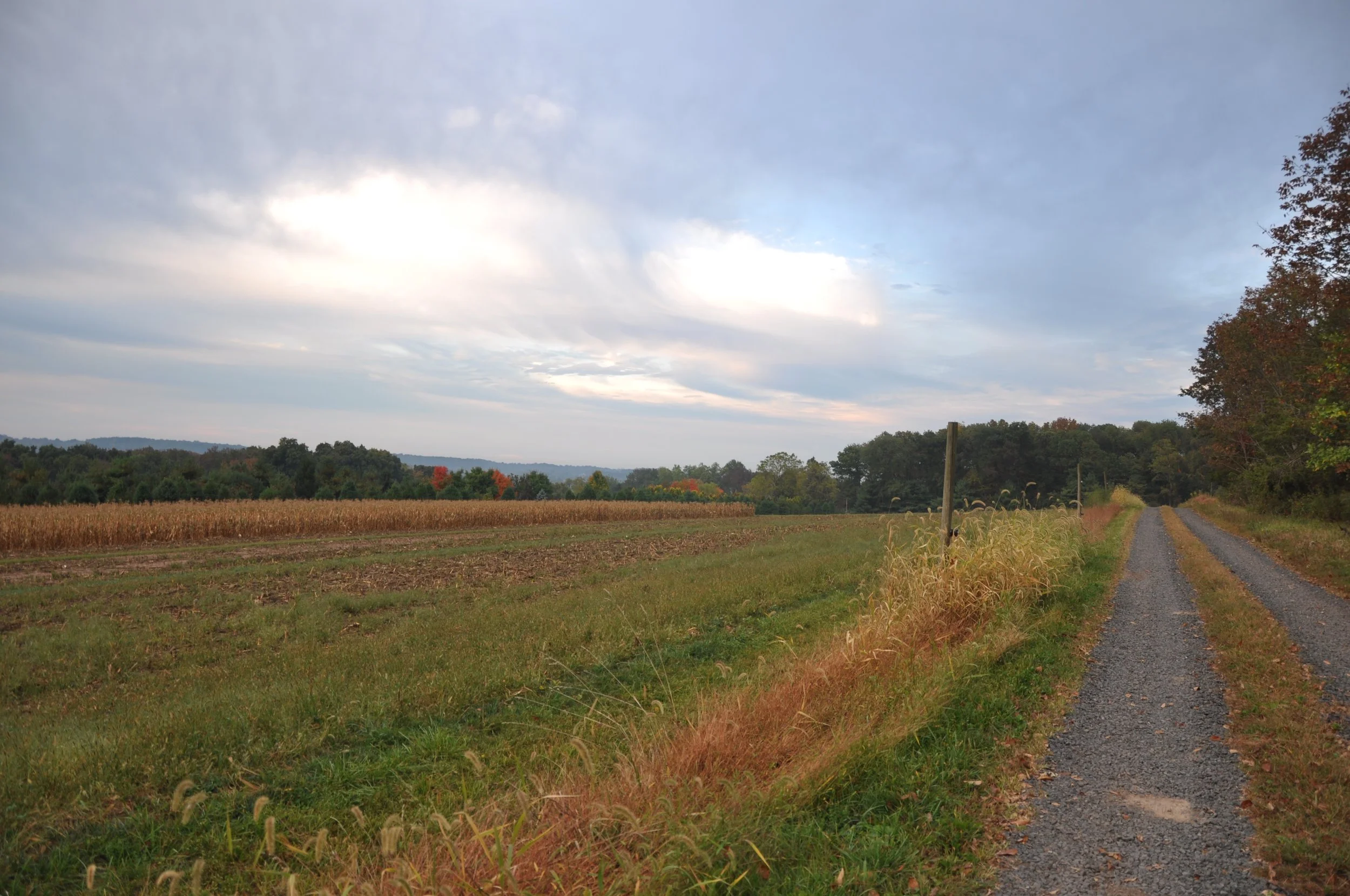 Side Farm Road.jpg