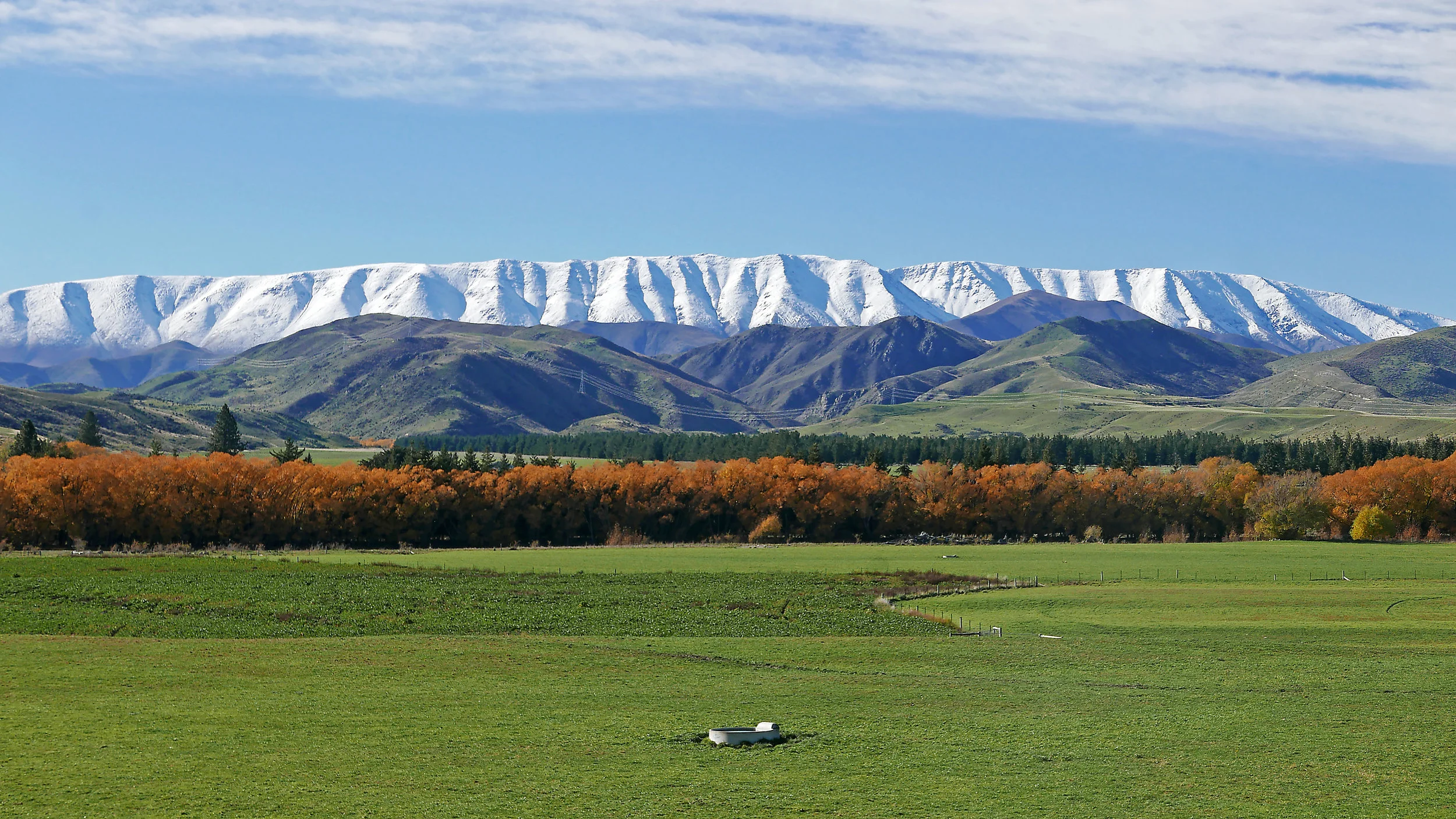 Autumn1010989.jpg