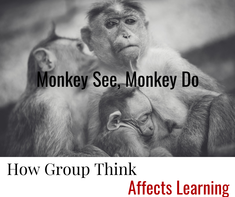 Monkey See, Monkey Do: How Group Thinking Affects Learning in ...