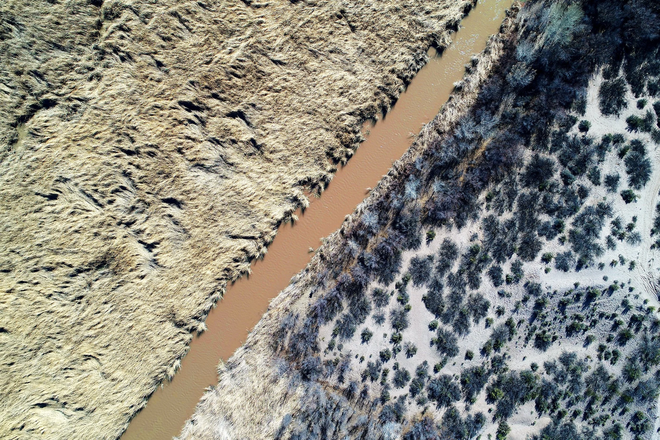 rio grande, south of socorro, NM