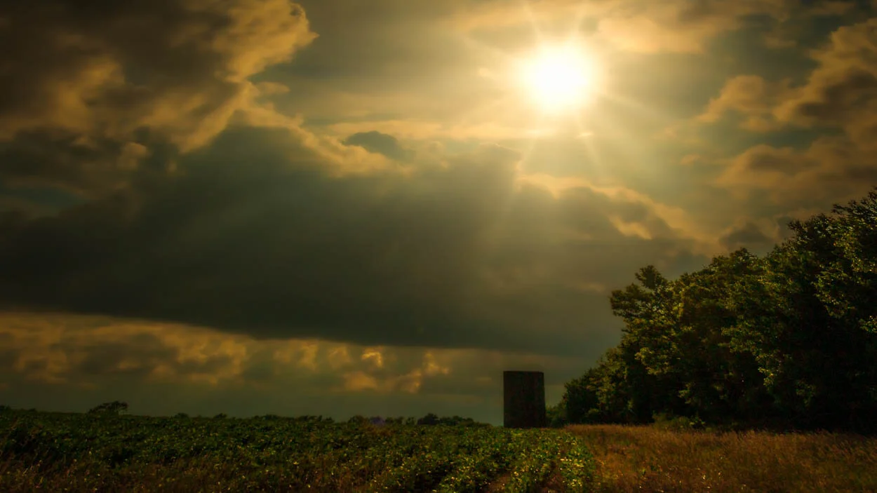 untitled-50-Edit-3-Edit-1.jpg