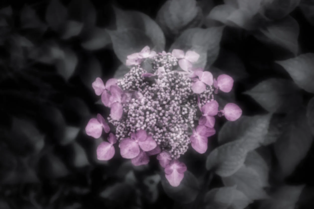 untitled-138-Edit-Edit-1.jpg