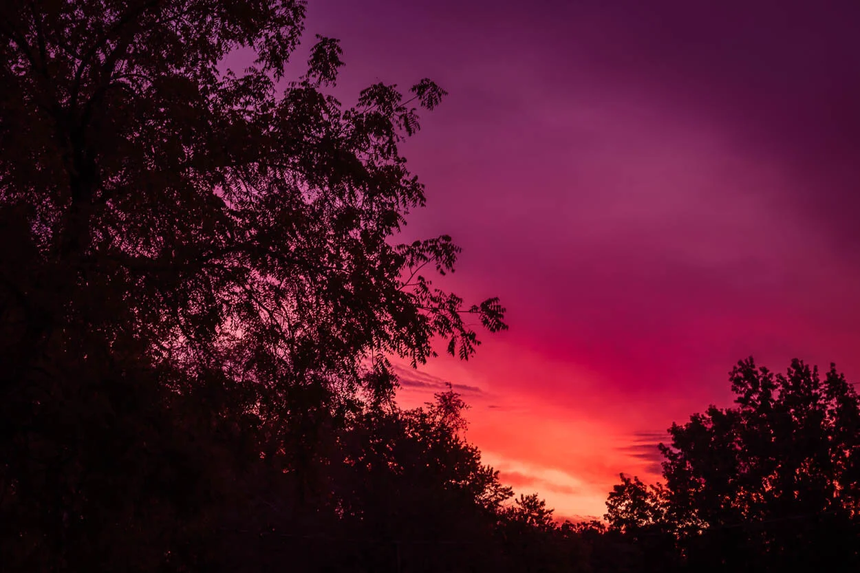 untitled-3-Edit-Edit-1.jpg