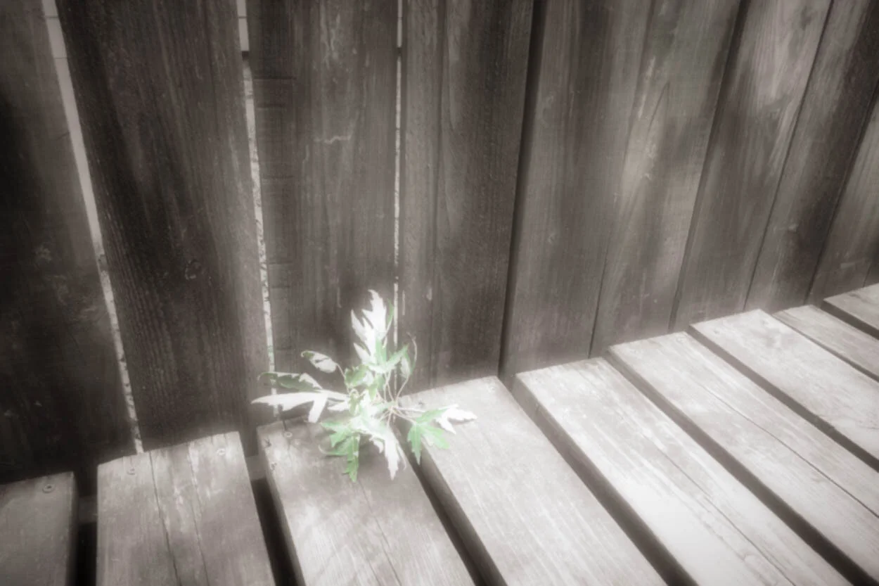 untitled-2-Edit-Edit-1.jpg