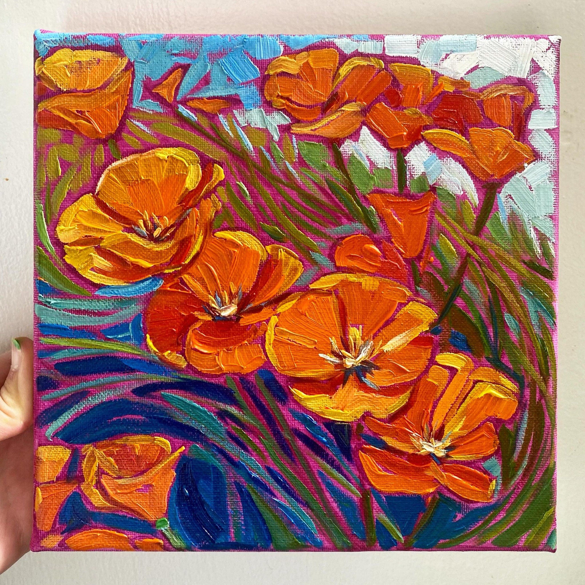 Some bright and happy poppies for y&rsquo;all today! They&rsquo;re everywhere, I can&rsquo;t get enough 😍 Enjoy the weekend everybody! 
(8x8 oil on canvas - $200)
.
.
.
#poppies #poppy #california #californiapoppies #wildflowers #spring #springflowe