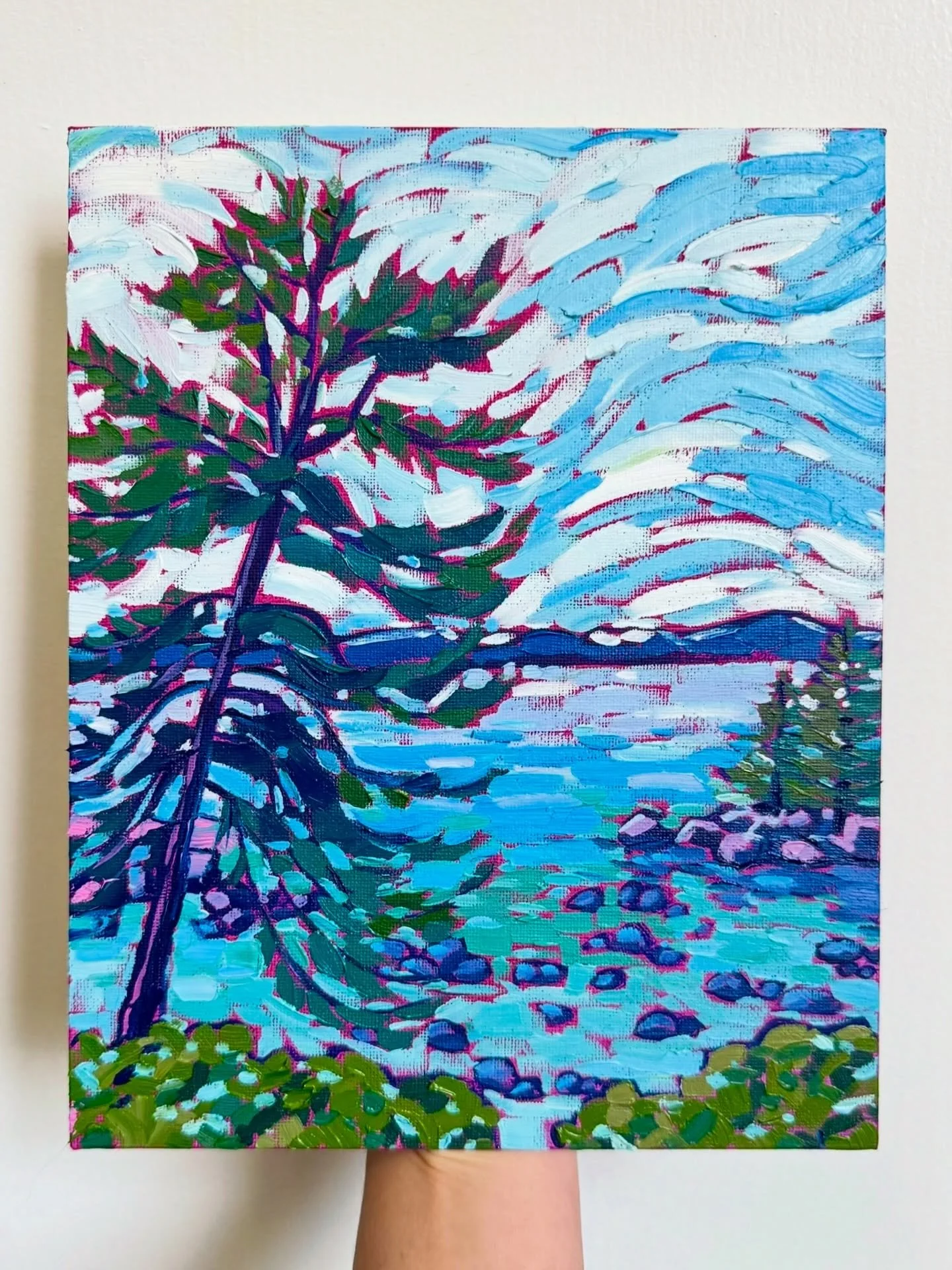 A quick little rendition of a whimsical tree that sits on top of Secret Cove🌲 Can&rsquo;t wait to hike back with my paddle board next time, now that spring is doing its thin ☀️
.
[9x12in, oil on canvas board]
[$200]
.
#laketahoe #tahoe #tahoeartist 