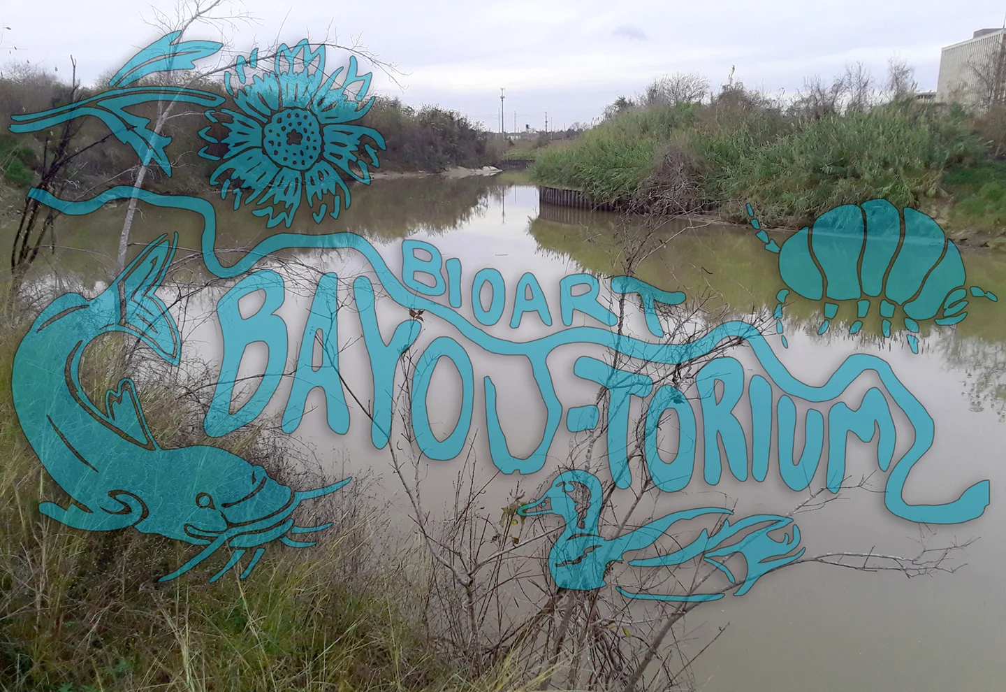 newLogo-w-bayou.jpg
