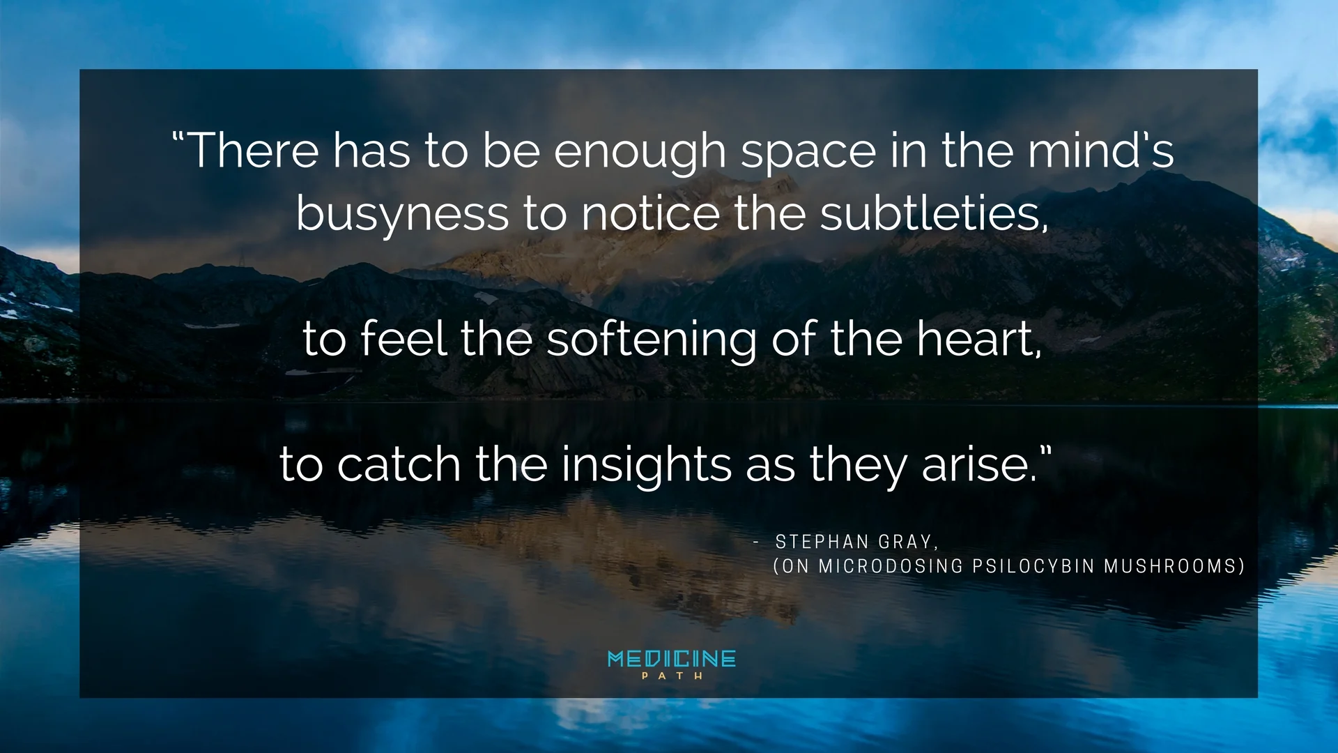 Microdosing Magic Mushrooms Stephan Gray Quote