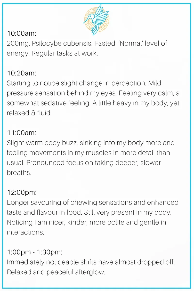 microdosing magic mushrooms six months of psilocybin