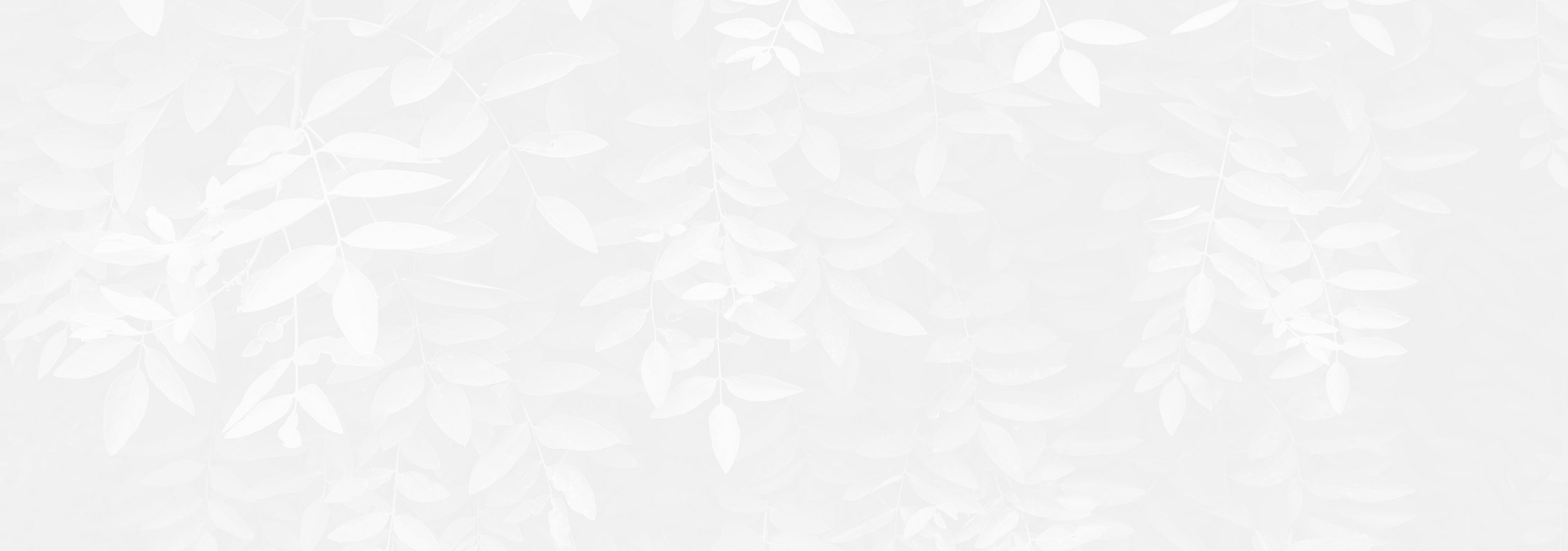 Different Backgrounds of Kambo Banner.jpg