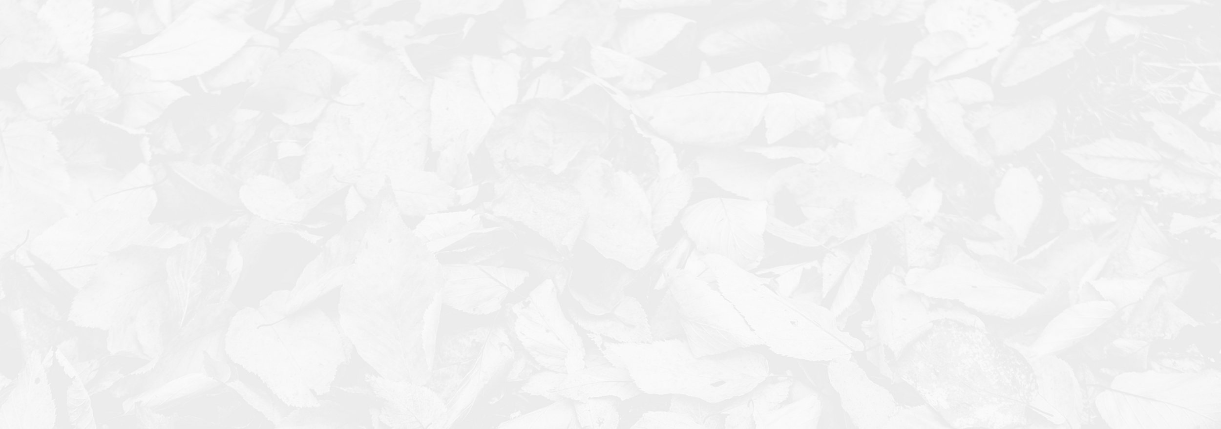 Different Backgrounds of Kambo Banner (3).jpg