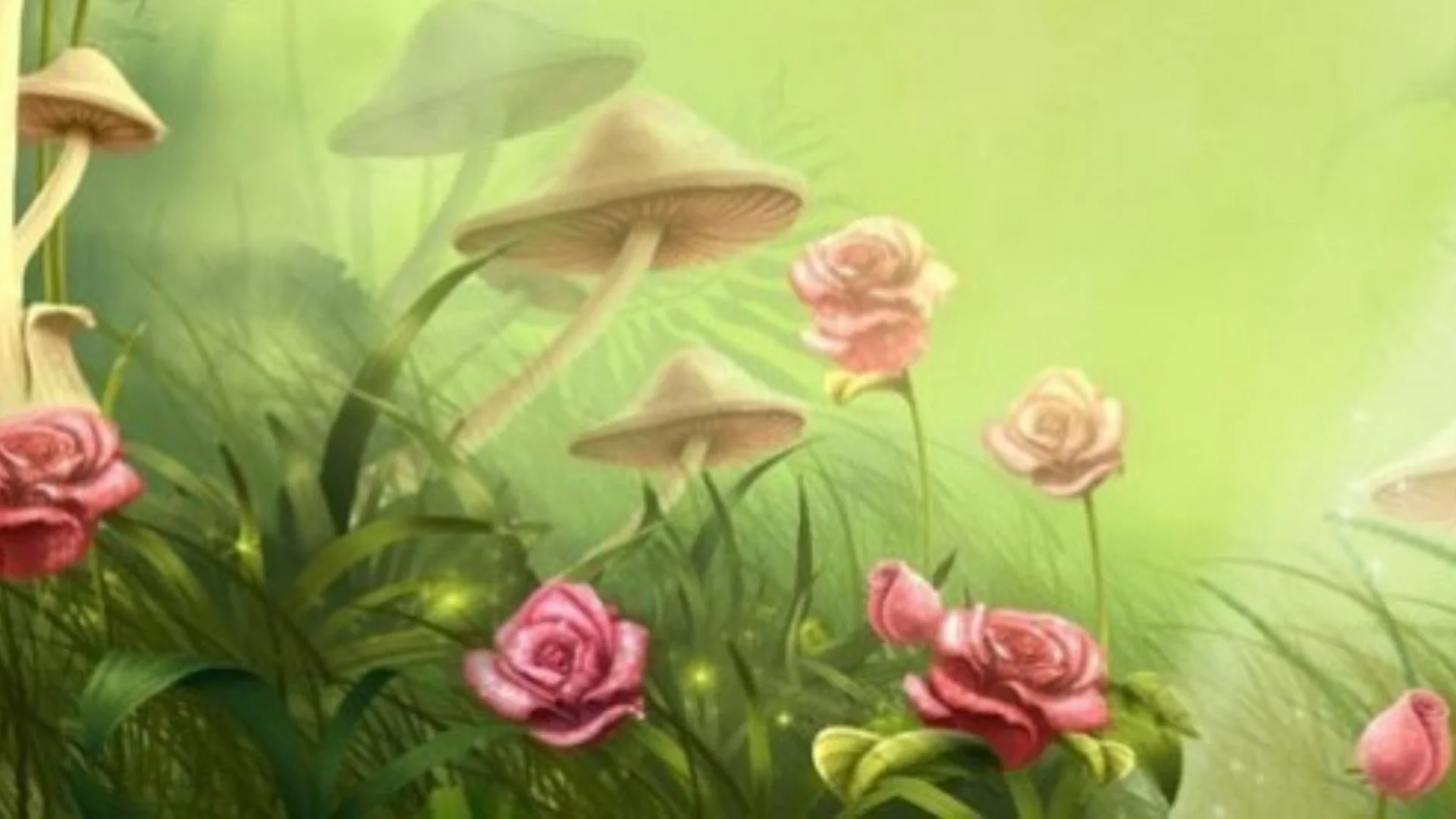 How NOT to Have a Magic Mushroom Experience: Bad Trips &amp; Amateur Mycology