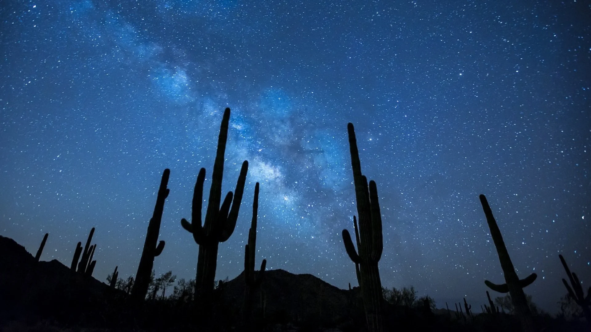 The San Pedro Cactus Journey That Was More Like An Ayahuasca Journey
