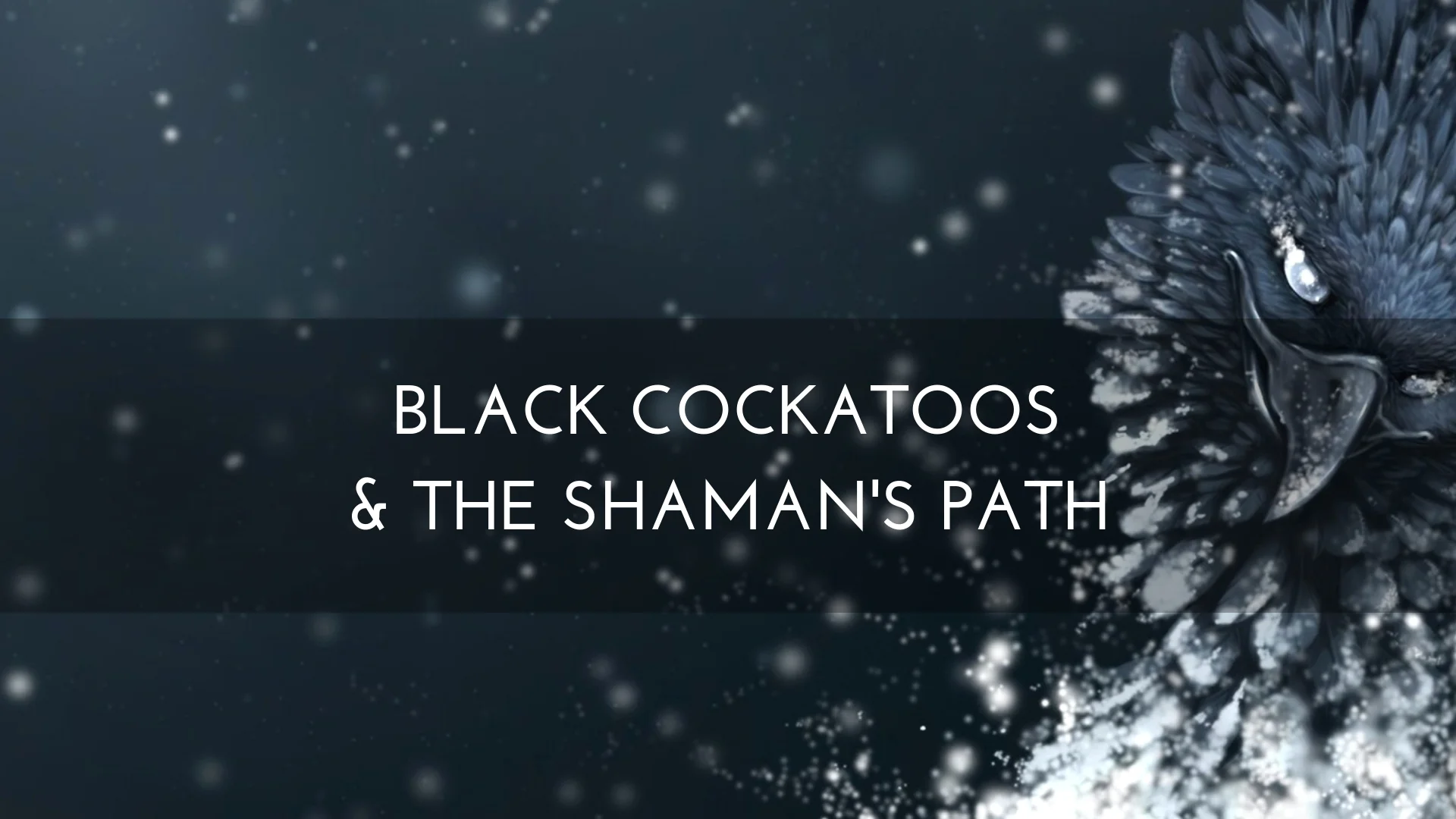Black Cockatoos and the Shaman's Path