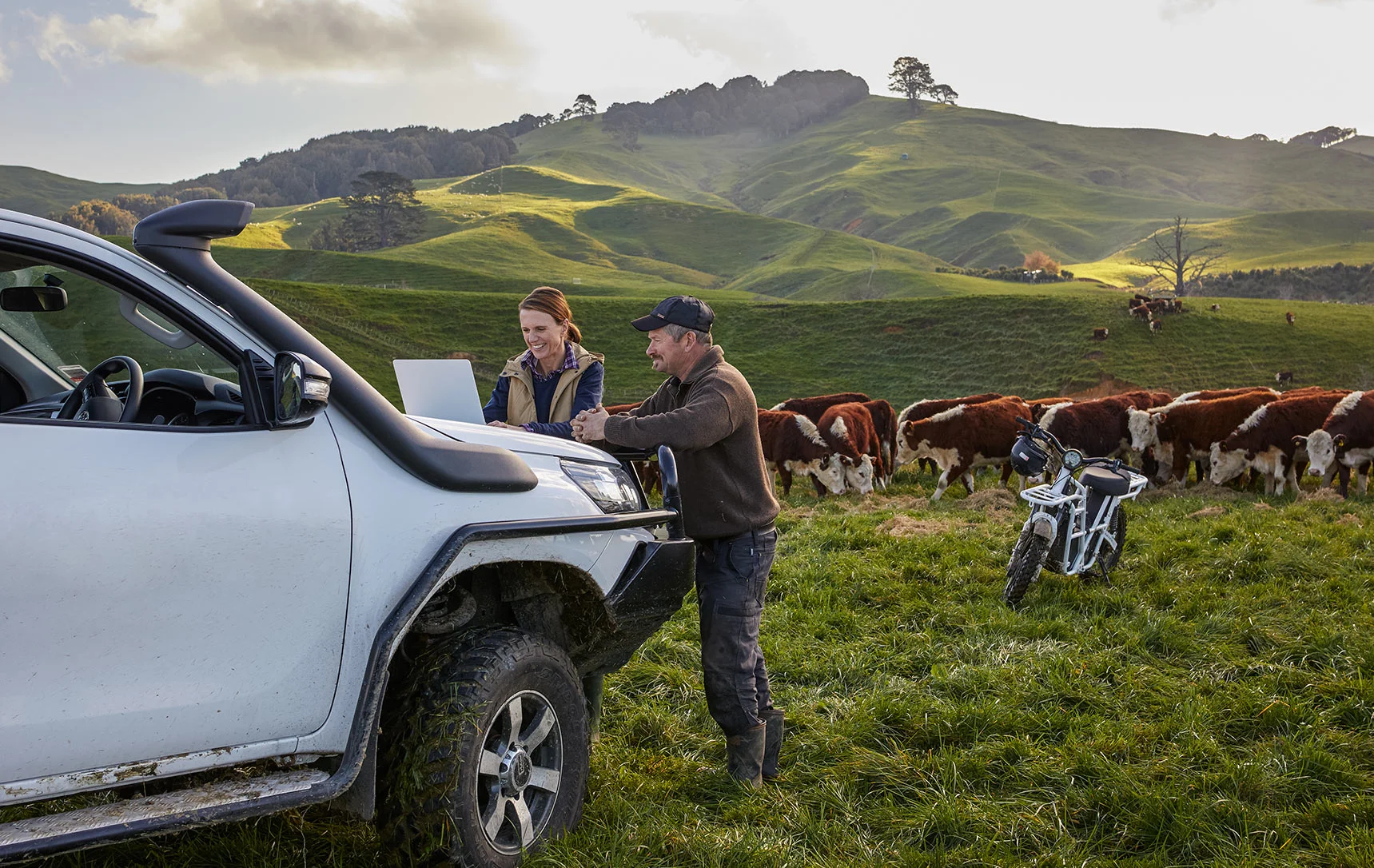 How to invest in the New Zealand farming industry