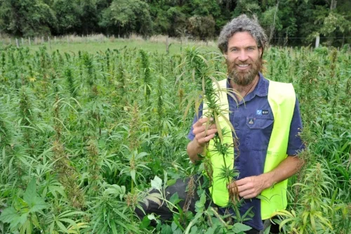 Panapa Ehau of Hikurangi Enterprises. Photo: Rebecca Grunwell, The Gisborne Herald