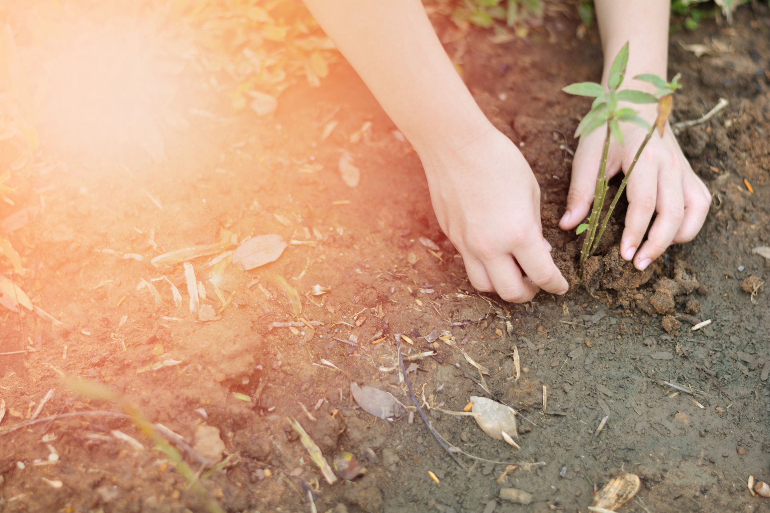 Kiwis are now demanding responsible investing