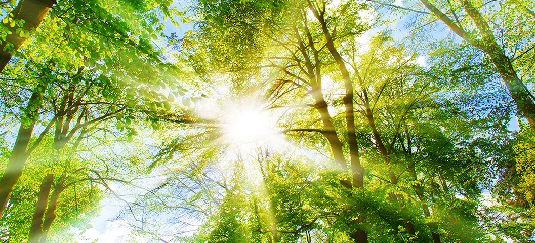 New trends in responsible investing