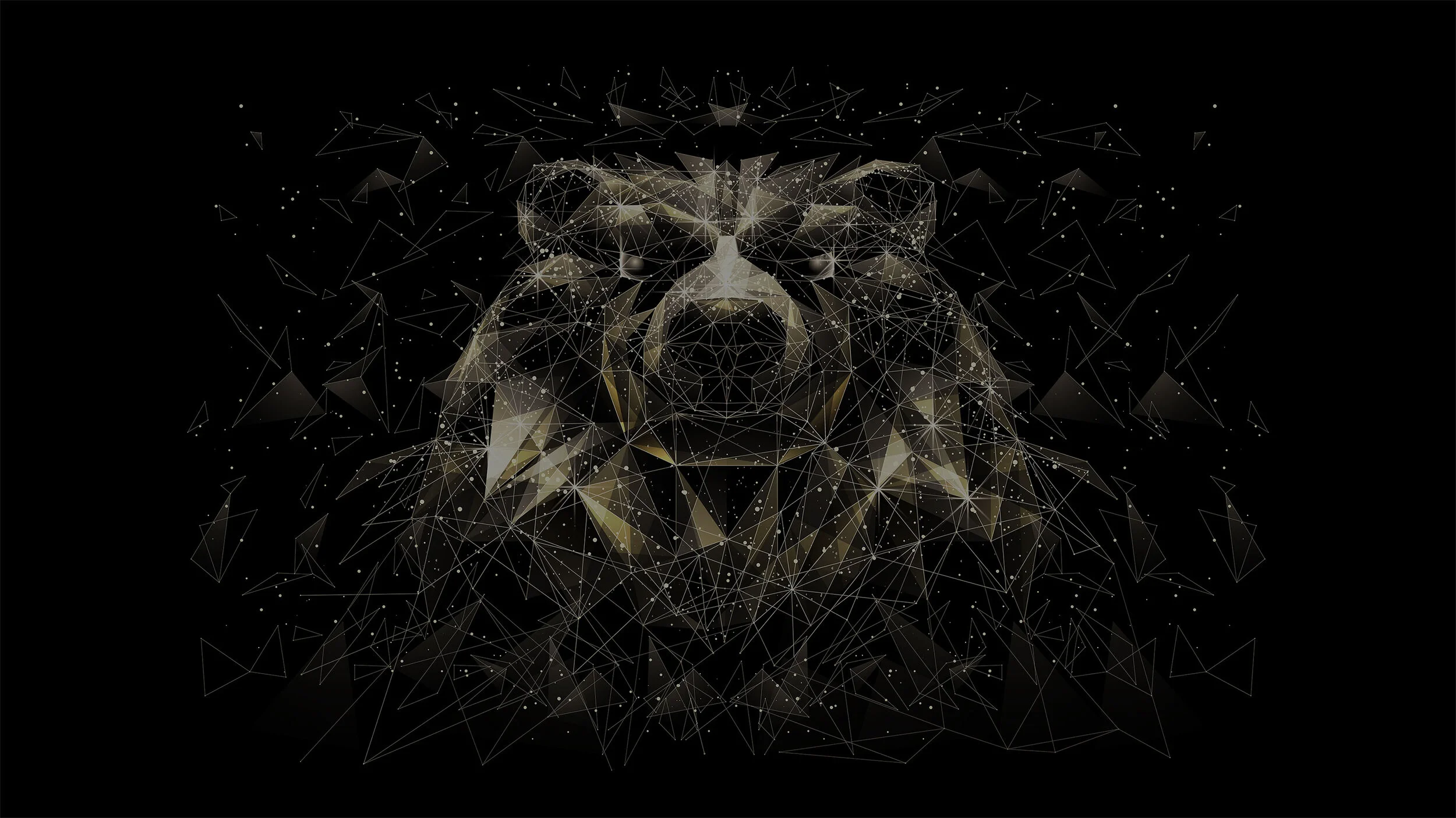 How to Invest  During a Recession