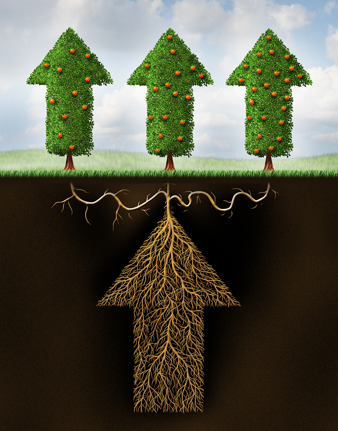 Time to Look at Your Fund Type