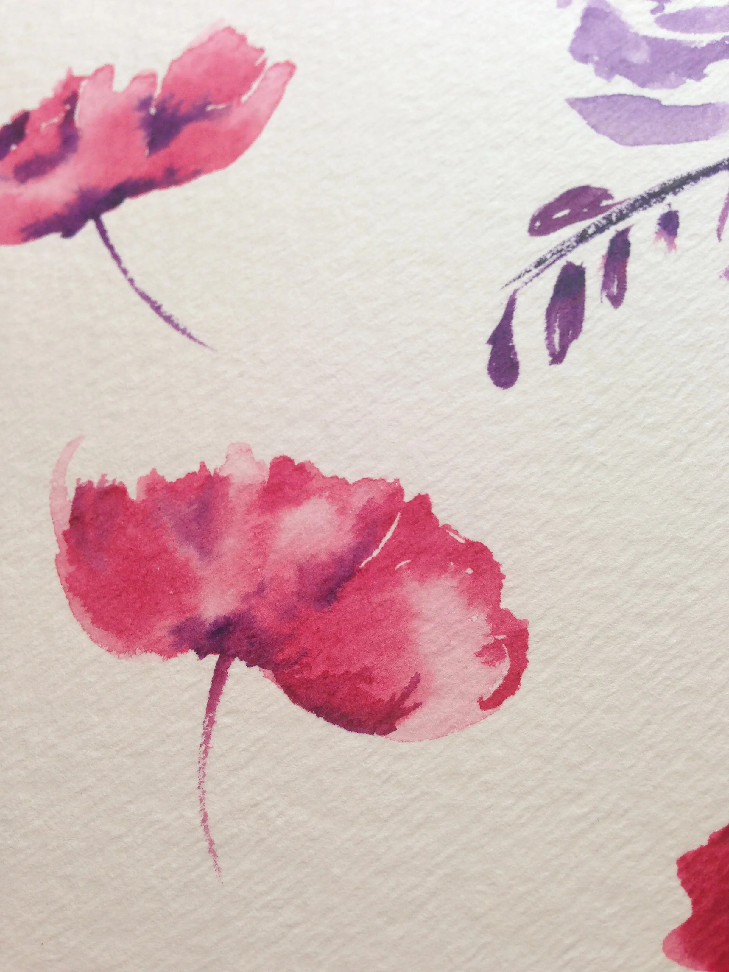 POPPIES.JPG
