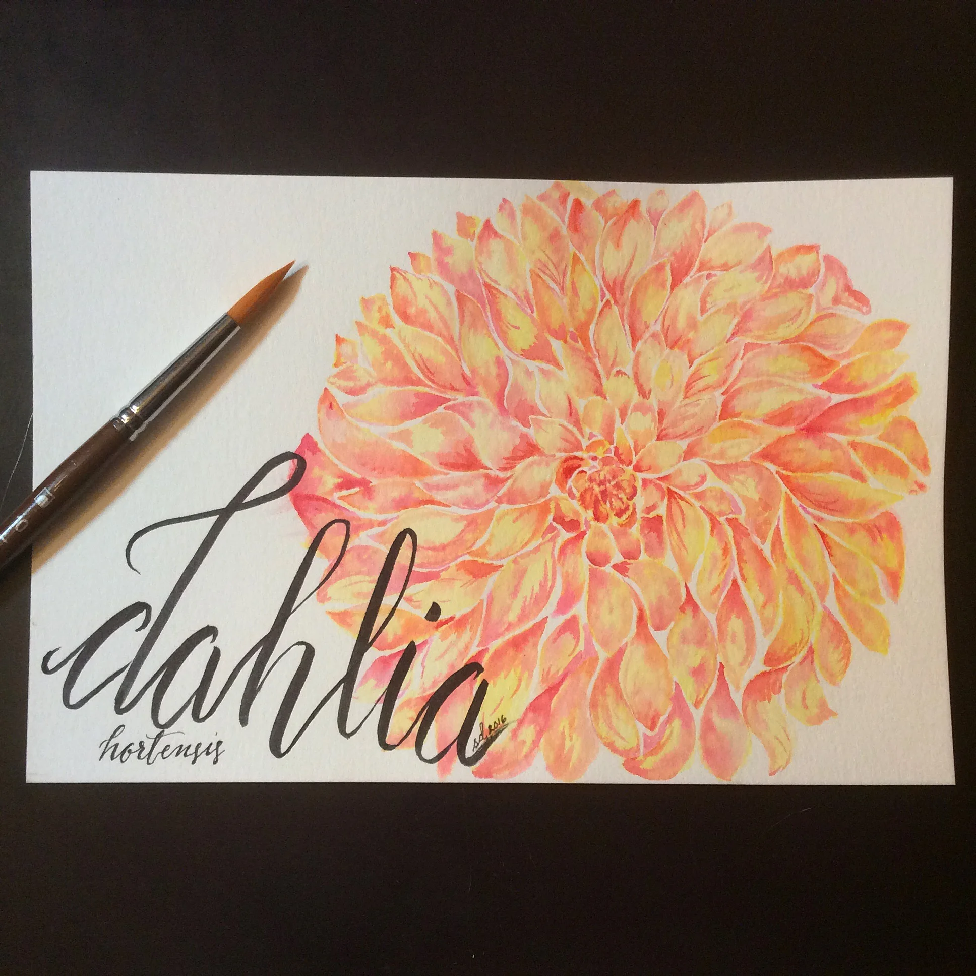DAHLIA.JPG