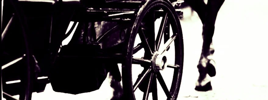 carriage.jpg