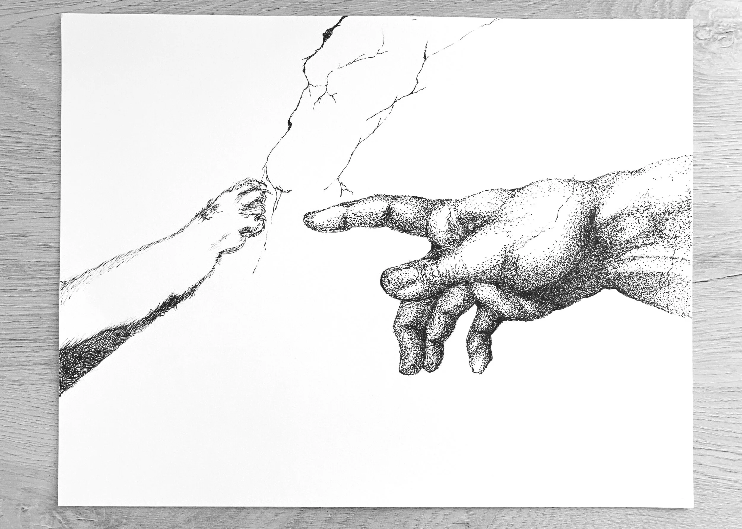 "The Creation of Adam- Cat Version"