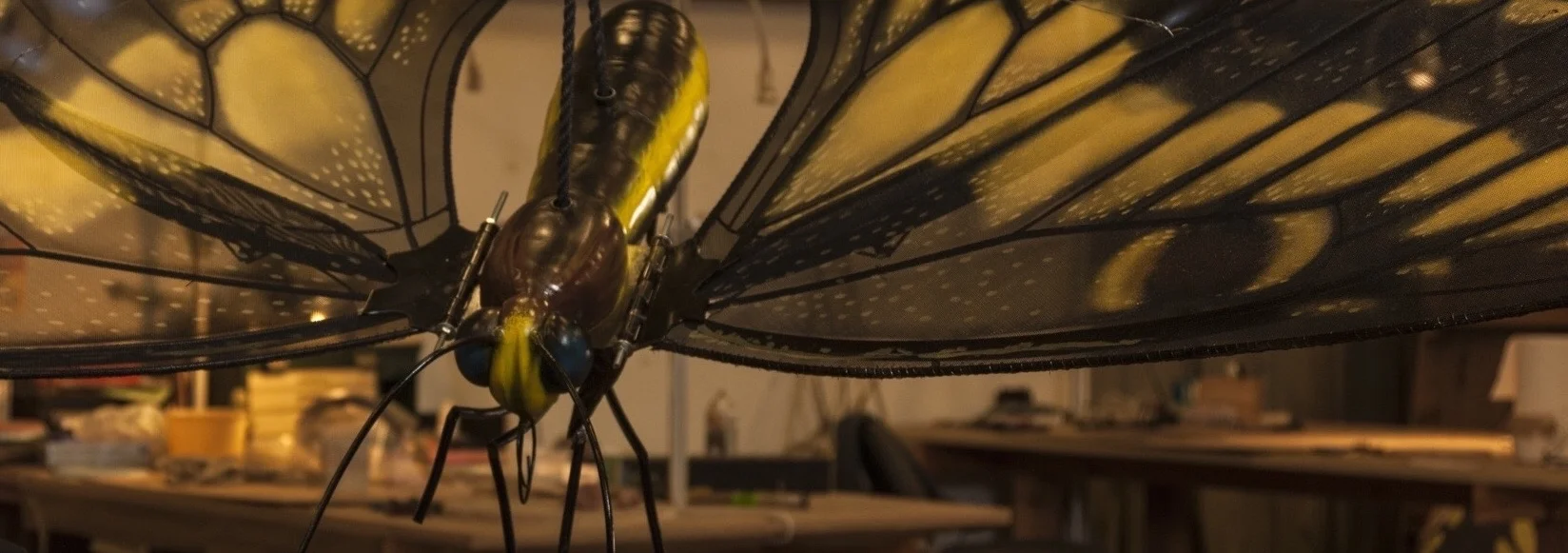 SAS swallowtail.jpg