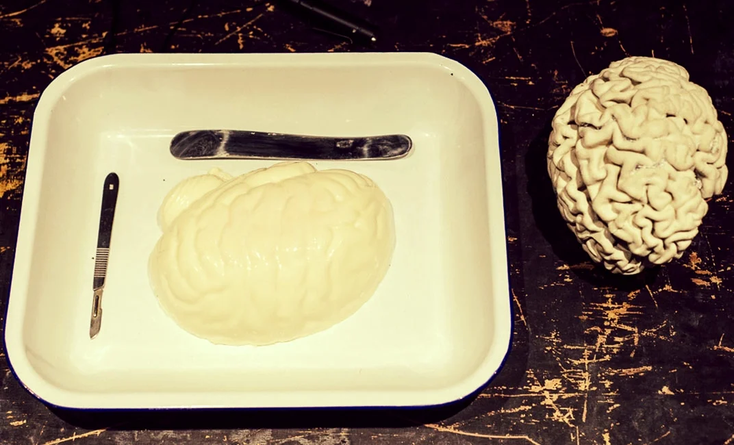 Brain Lobotomy Workshop