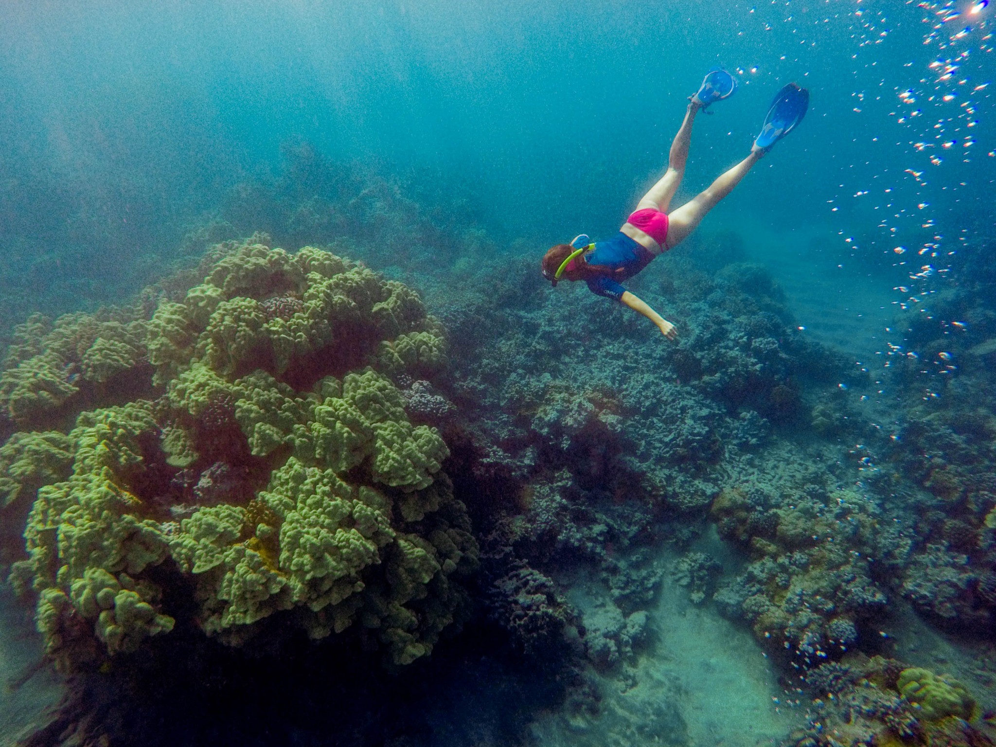 Best-Maui-Snorkeling-at-the-Ahihi-Kinau-Reserve.jpg