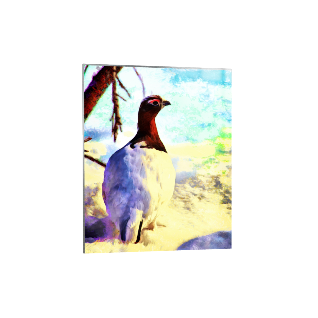 metalprint_rectangle4_5_0_758_3192_3990_0_false_ffffff_0_0.png
