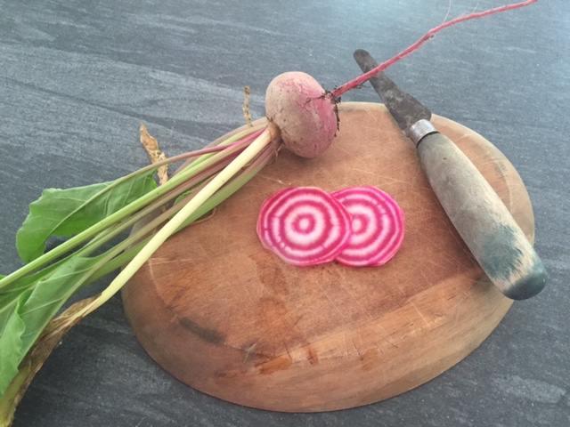 Look at this candy cane beet - gorgeous, delicious, and eaten! Pretty cool how gardening and cooking equal kids who love their food!