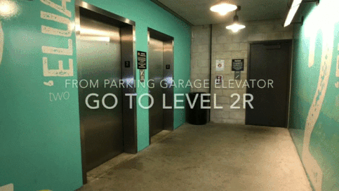 #SALT-Directions.gif