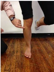 SomaTraining - Proprioception & Awareness