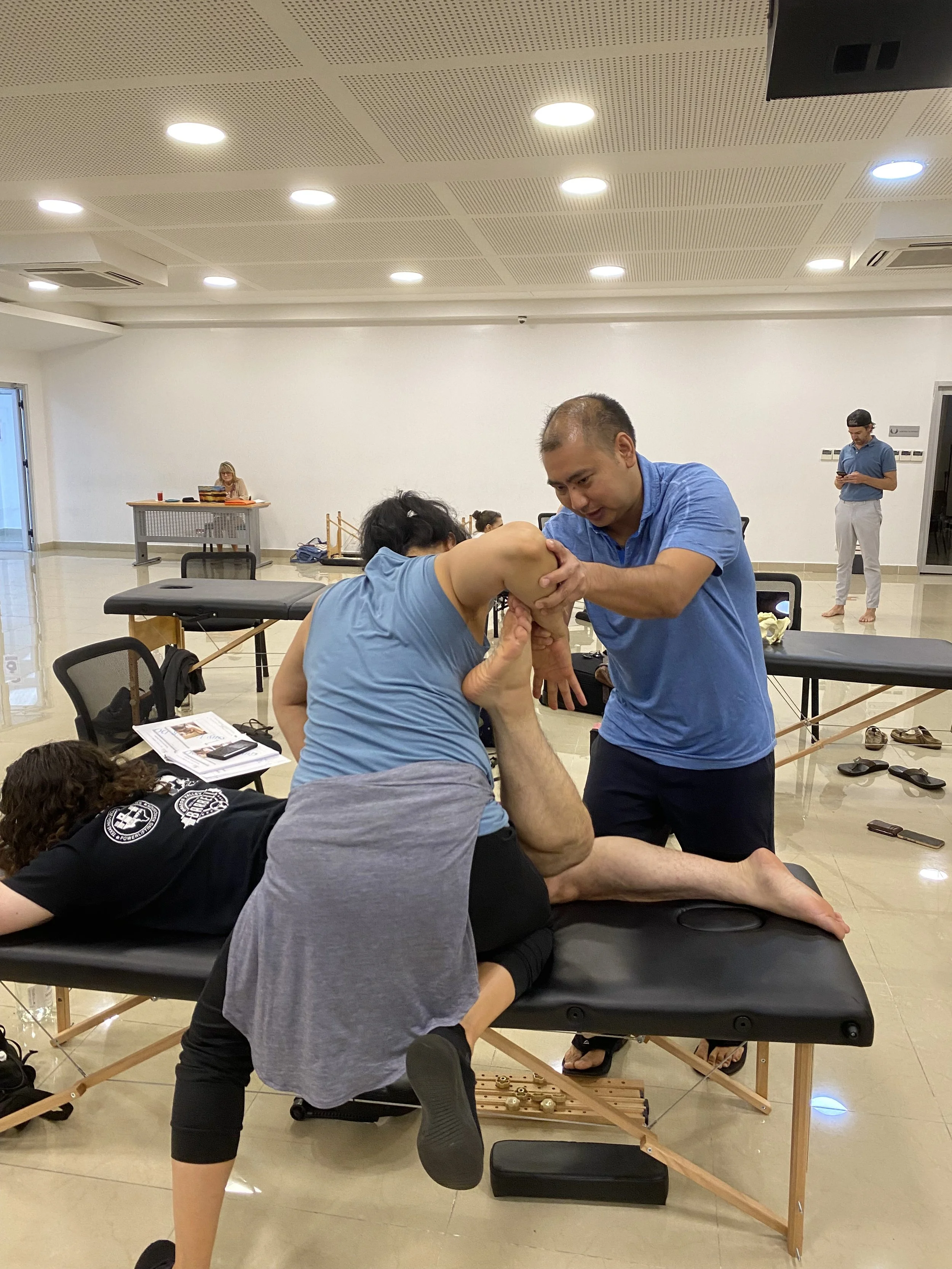 International Diplomate of Manual Etiotherapy - Instructor