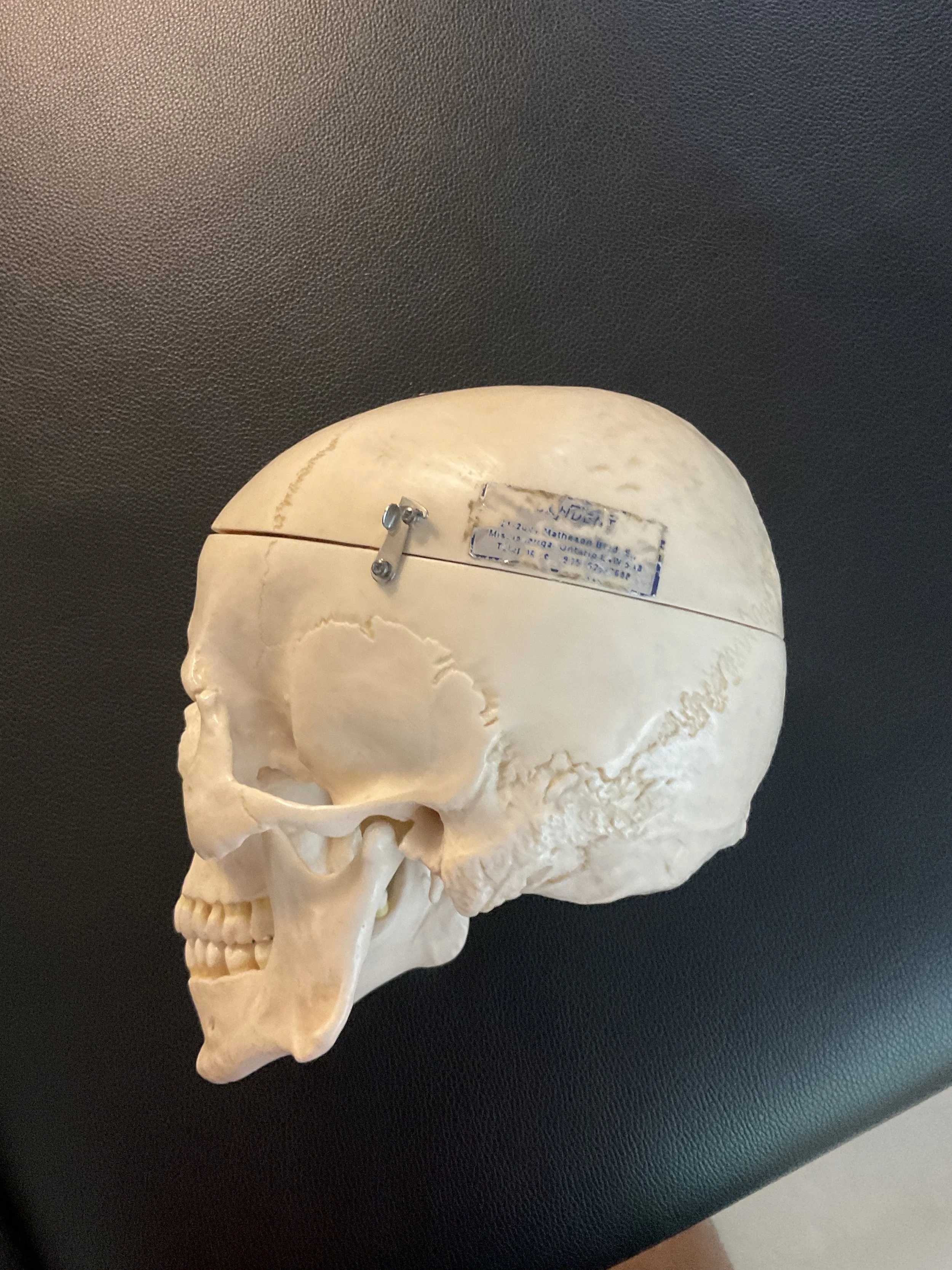 International Diplomate of Manual Etiotherapy