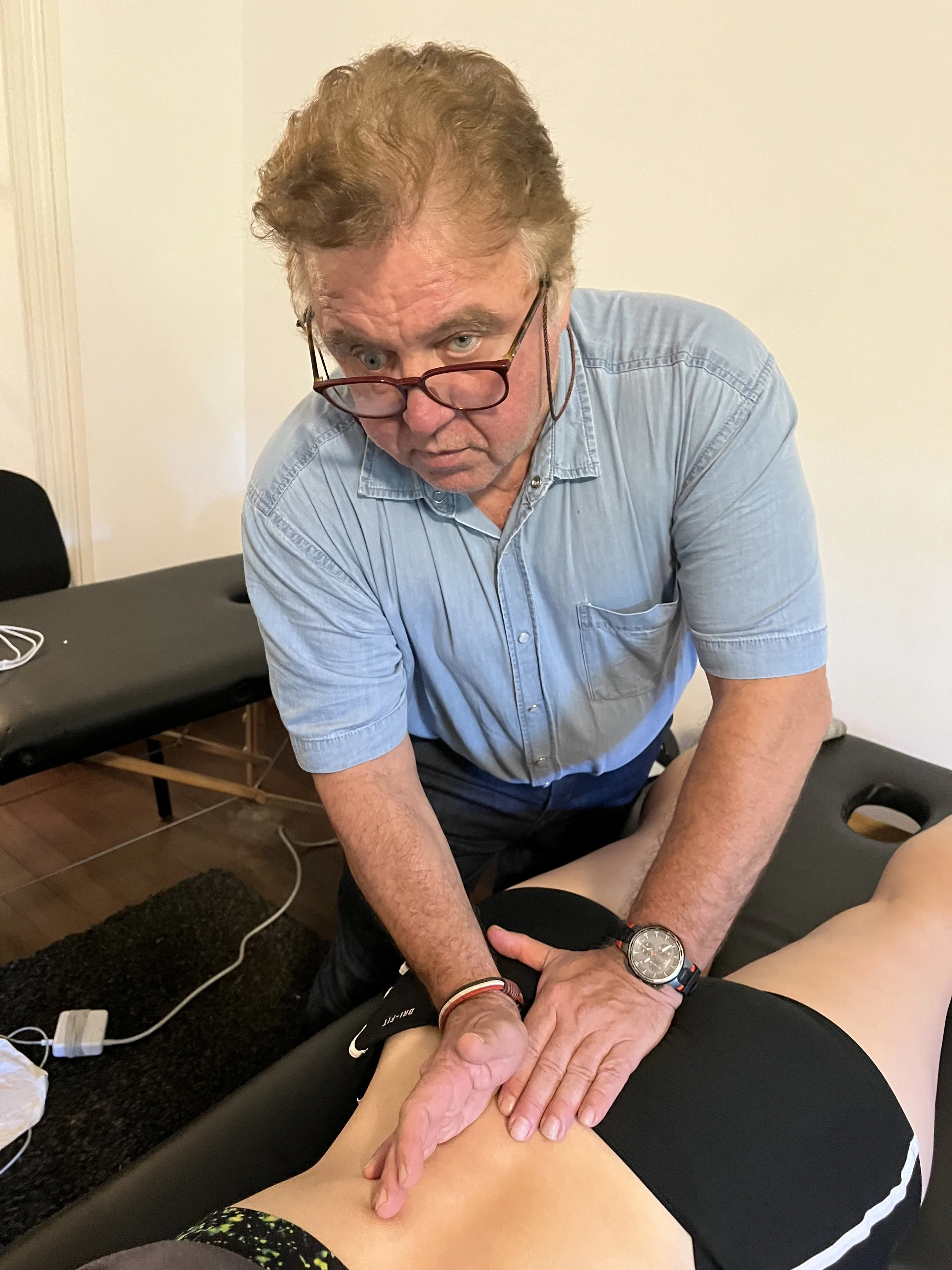 International Diplomate of Manual Etiotherapy - Instructor