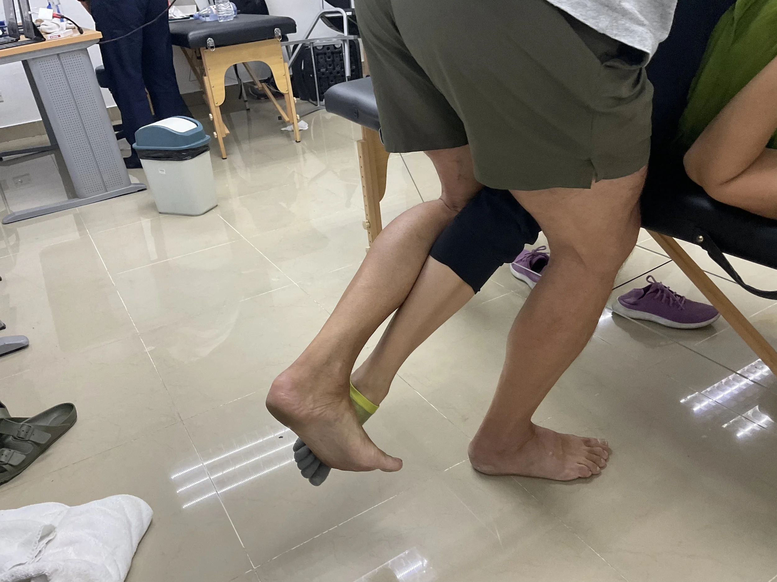 International Diplomate of Manual Etiotherapy - Instructor