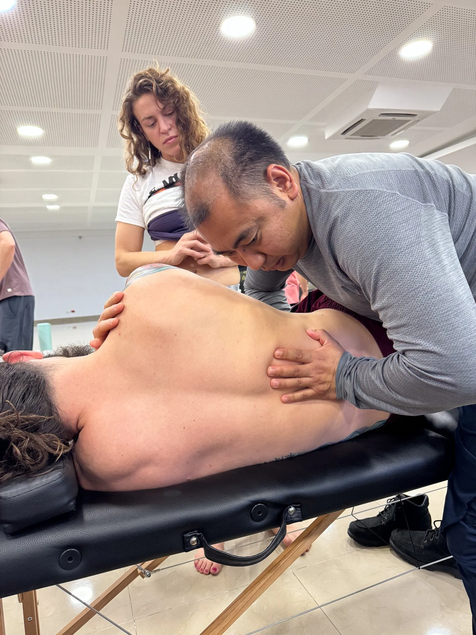 International Diplomate of Manual Etiotherapy