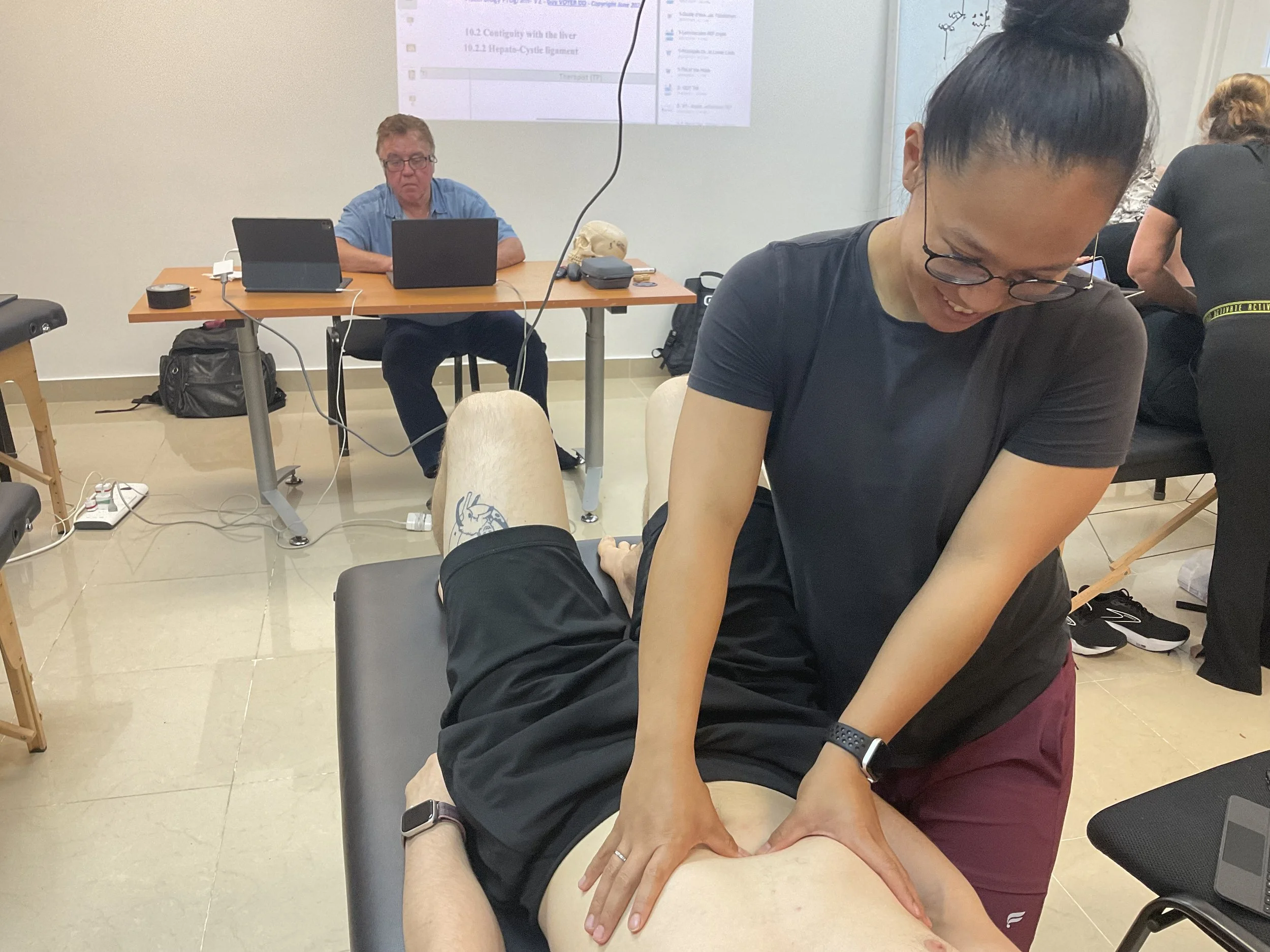 International Diplomate of Manual Etiotherapy