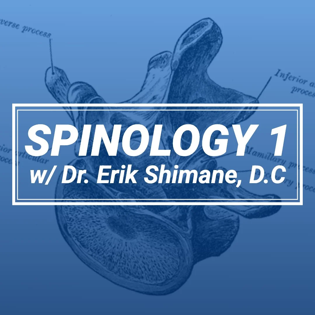 Spinology 01 Lumbar - Dallas, Texas